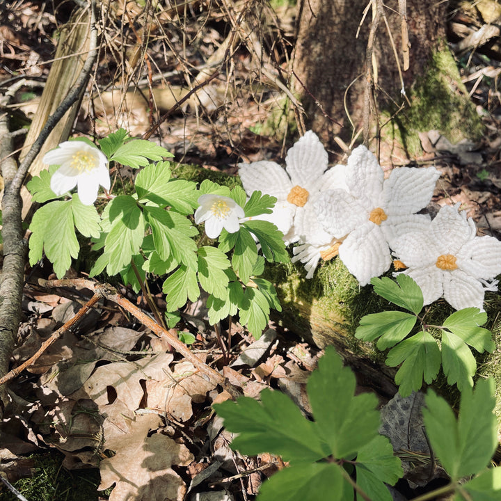 Oppskrift Blomst