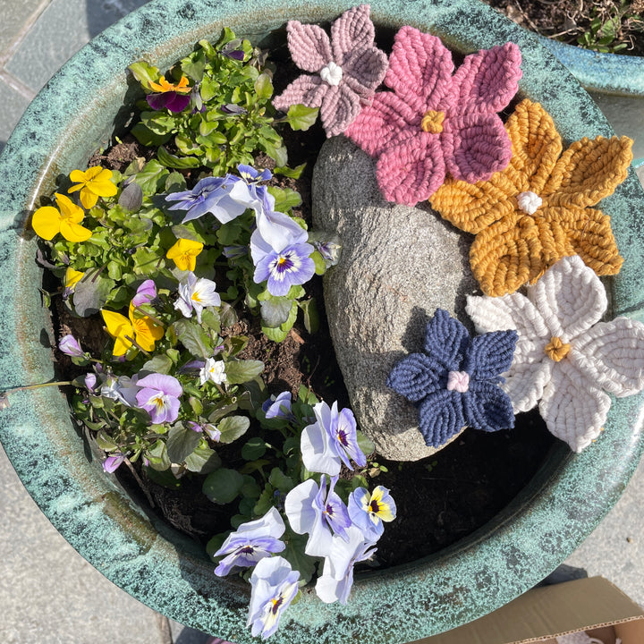 Oppskrift Blomst